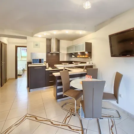 公寓 Visitzakopane - Sasanka