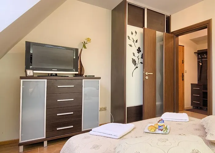 公寓 Visitzakopane - Sasanka 扎科帕内